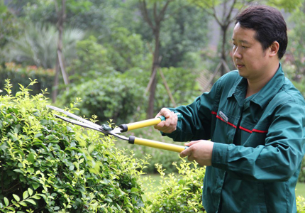 園林(lín)綠化(huà)